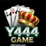 Y444 Game
